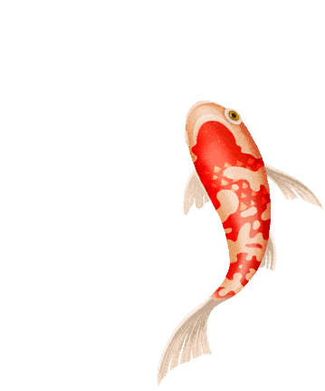 燃梦中考┃承儒者之志 搏中考之巅 第26张