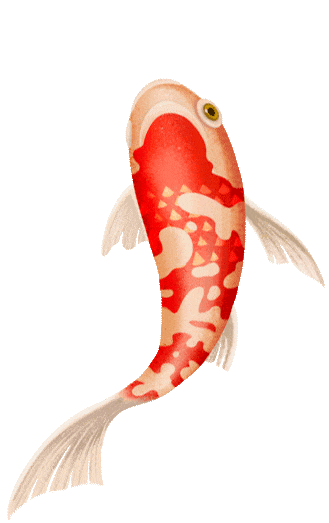 燃梦中考┃承儒者之志 搏中考之巅 第163张