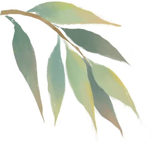 城南·悦教研 | 天心区物理中考复习教学研讨活动在我校圆满举行 第21张 城南·悦教研 | 天心区物理中考复习教学研讨活动在我校圆满举行 第21张