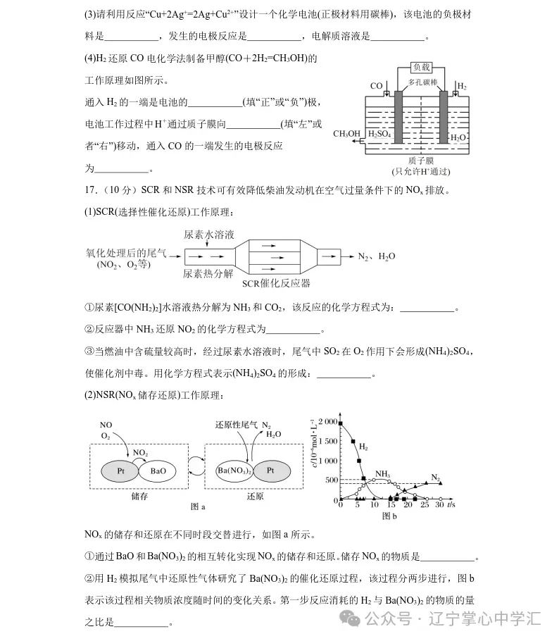 2025年4月沈阳高一月考试卷+答案 第32张