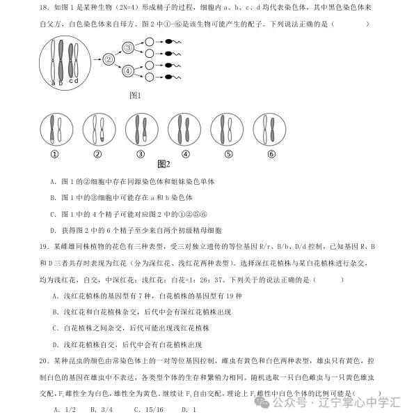 2025年4月沈阳高一月考试卷+答案 第64张
