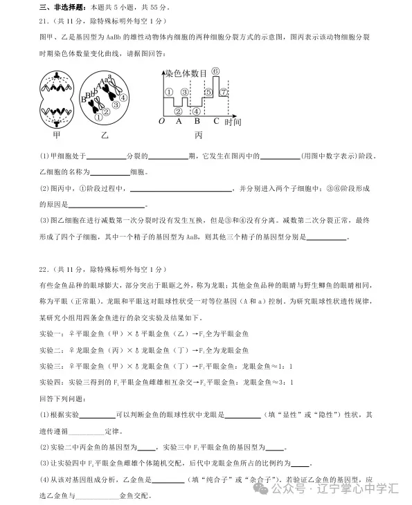 2025年4月沈阳高一月考试卷+答案 第65张