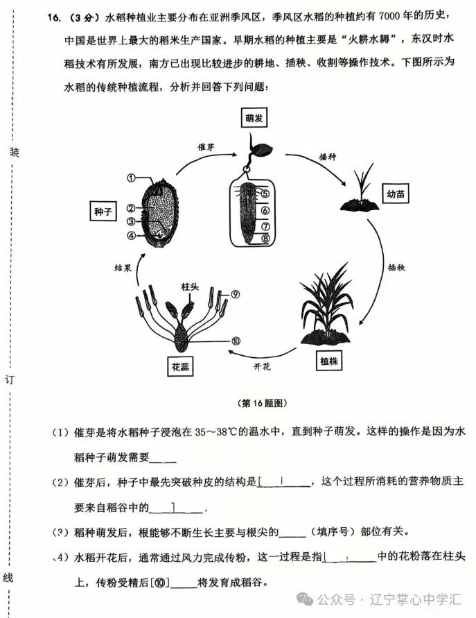 2025年5月鞍山铁东区七年期中试卷+答案(全) 第62张
