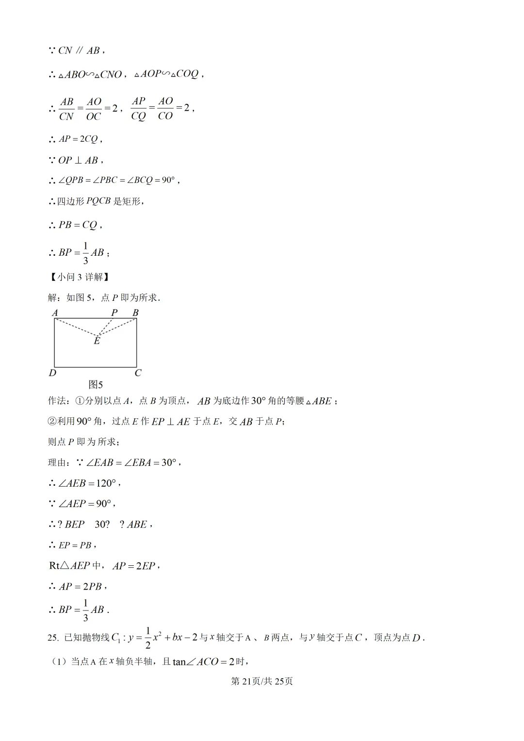 2025上海中考各科三模卷汇编(附参考答案与解析) 第101张