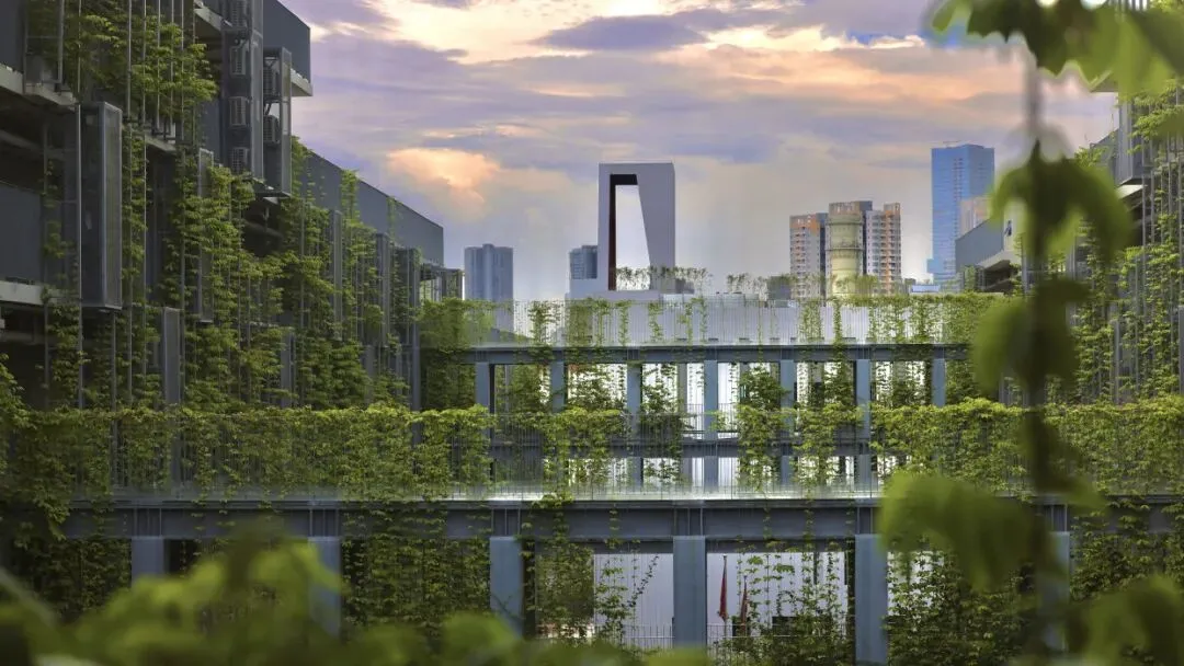 深国交2026年首场入学考试真题回忆! 第12张 深国交2026年首场入学考试真题回忆! 第12张