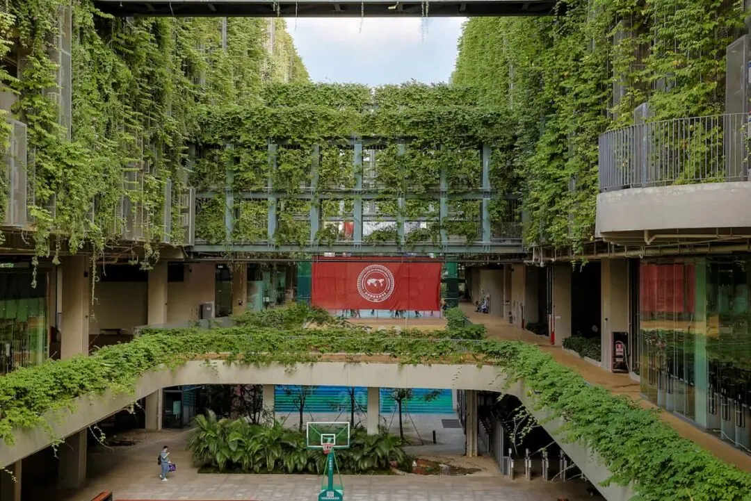 深国交2026年首场入学考试真题回忆! 第13张 深国交2026年首场入学考试真题回忆! 第13张