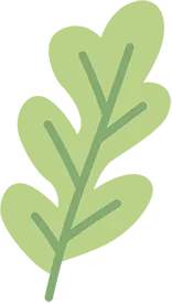 2026年中考作文押题:范文《我在坚持中靠近梦想》(以“梦想”为话题) 第13张 2026年中考作文押题:范文《我在坚持中靠近梦想》(以“梦想”为话题) 第13张