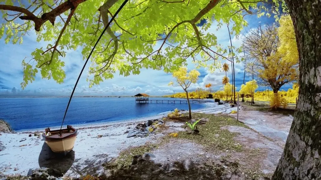 【中考语文学习指导】感受文字力量(基础知识综合+默写)湖北2025 第9张 【中考语文学习指导】感受文字力量(基础知识综合+默写)湖北2025 第9张