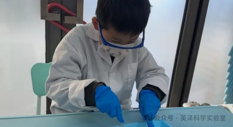 英泽科学教育实验室:中考实验课程周周爆满的秘密,揭秘科学教育的黄金赛道 第10张