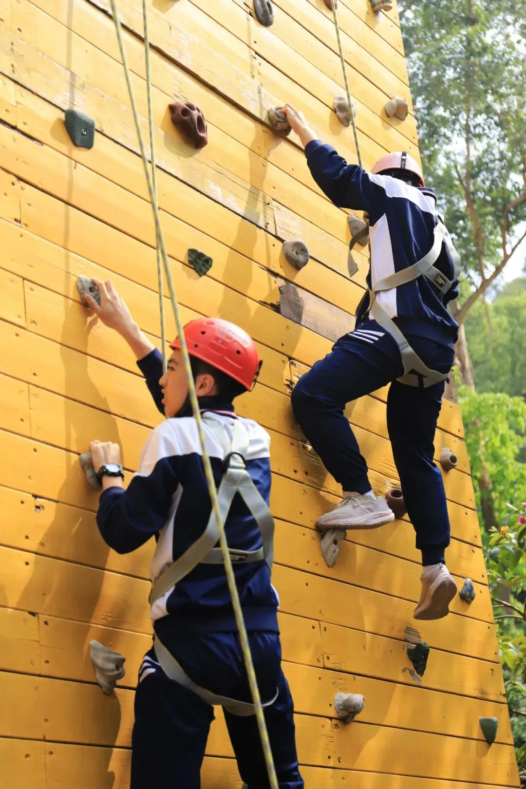 百日砺剑,少年当燃|中考冲刺,我们出征! 第73张 百日砺剑,少年当燃|中考冲刺,我们出征! 第73张