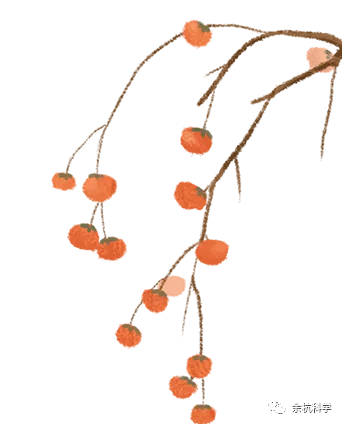 【中考模拟】2026年3月杭州锦绣育才集团科学一模 第21张