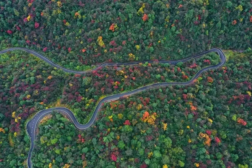 2026中考英语 时态辨析 易错考点 专项练(有答案) 第2张 2026中考英语 时态辨析 易错考点 专项练(有答案) 第2张