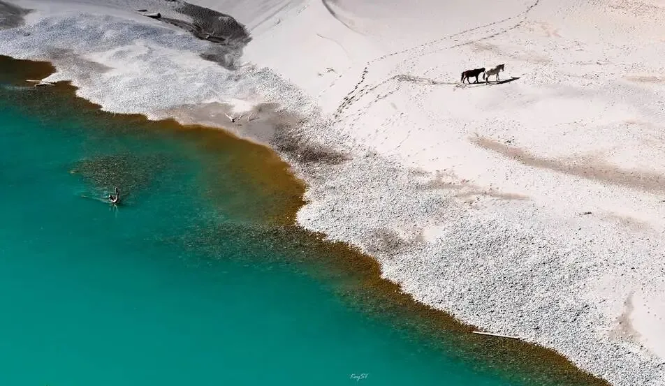 2026中考英语 时态辨析 易错考点 专项练(有答案) 第3张 2026中考英语 时态辨析 易错考点 专项练(有答案) 第3张