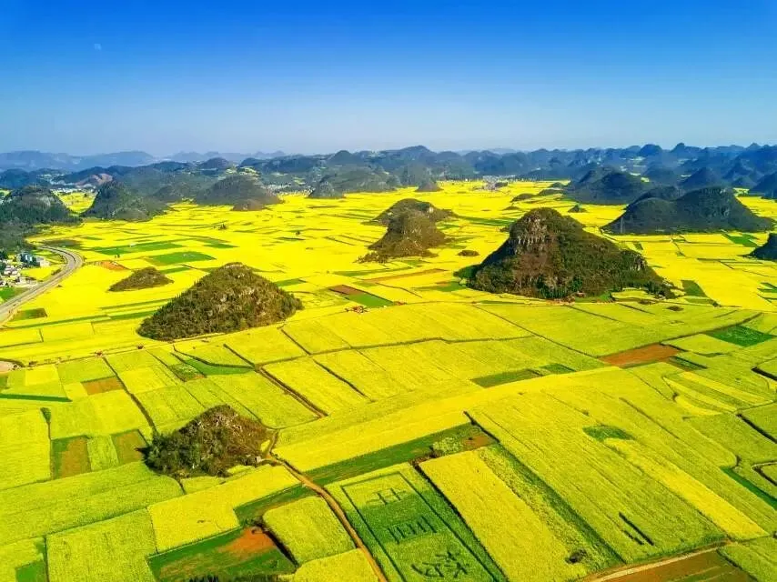 2026中考英语 时态辨析 易错考点 专项练(有答案) 第4张 2026中考英语 时态辨析 易错考点 专项练(有答案) 第4张