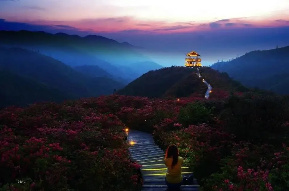 2026中考英语 时态辨析 易错考点 专项练(有答案) 第5张 2026中考英语 时态辨析 易错考点 专项练(有答案) 第5张