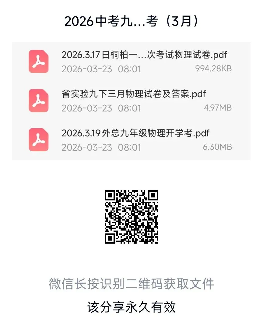 2026中考-外国语、省实验、桐柏一中九下第一次月考(3月) 第4张