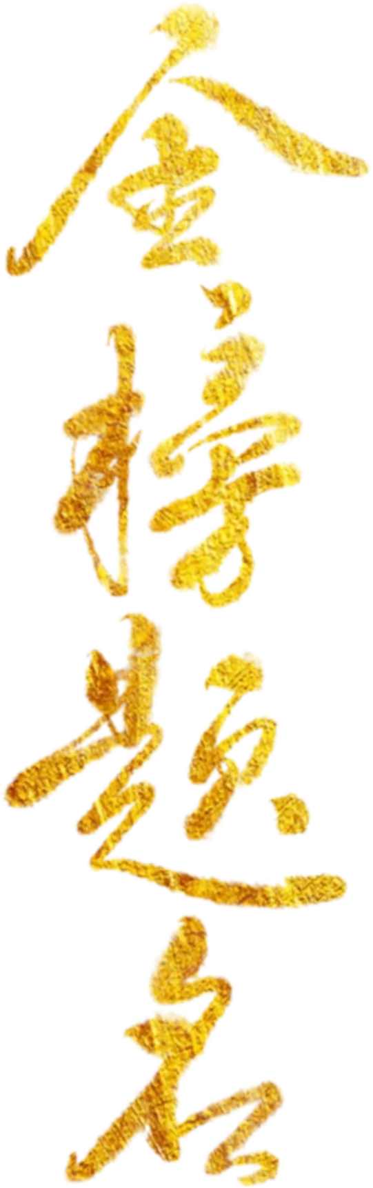 百日砺剑跃龙门,一中附中九年级中考誓师燃动苏村! 第7张