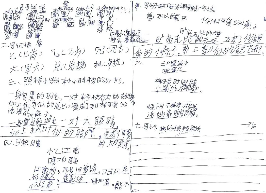 【百字班班同行营】三下第一单元出试卷 第8张