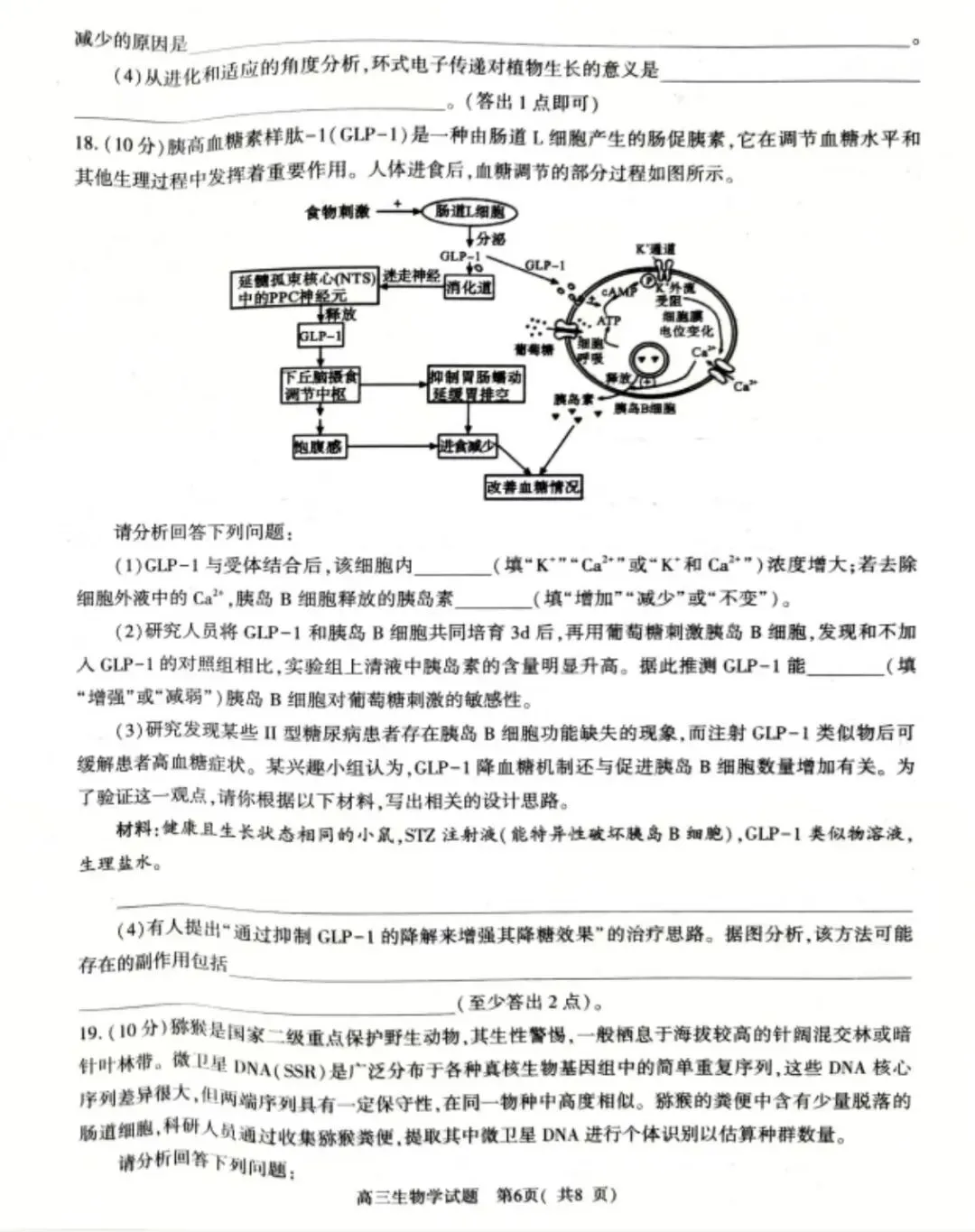 2026年河南省高三五市一模生物学试卷及答案解析 第6张