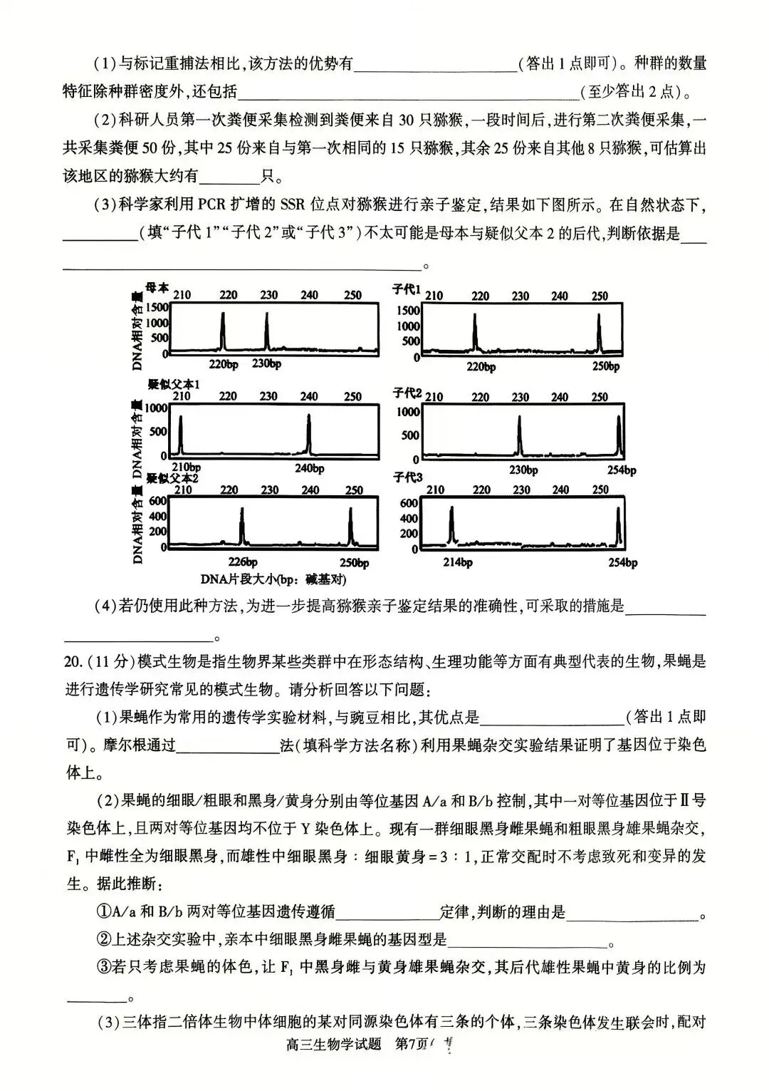 2026年河南省高三五市一模生物学试卷及答案解析 第7张
