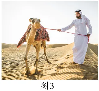 2026中考(会考、结业考试)二轮复习模拟试卷(共5套) 第16张