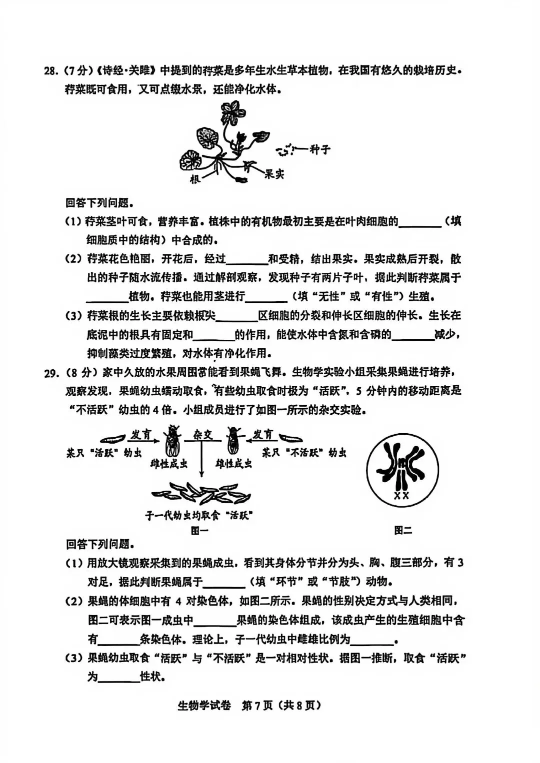 2026年6月23日河北中考生物试卷(含答案) 第9张