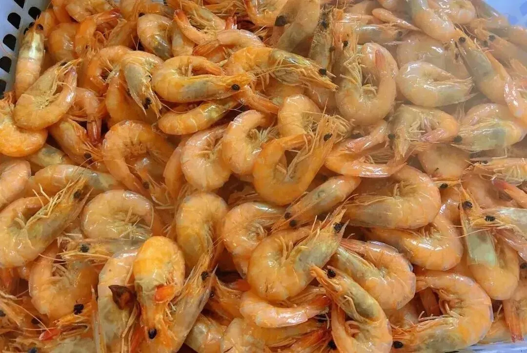 报名开启 | 2026唐山市美术中考模拟考邀你来战,冲刺中考! 第43张