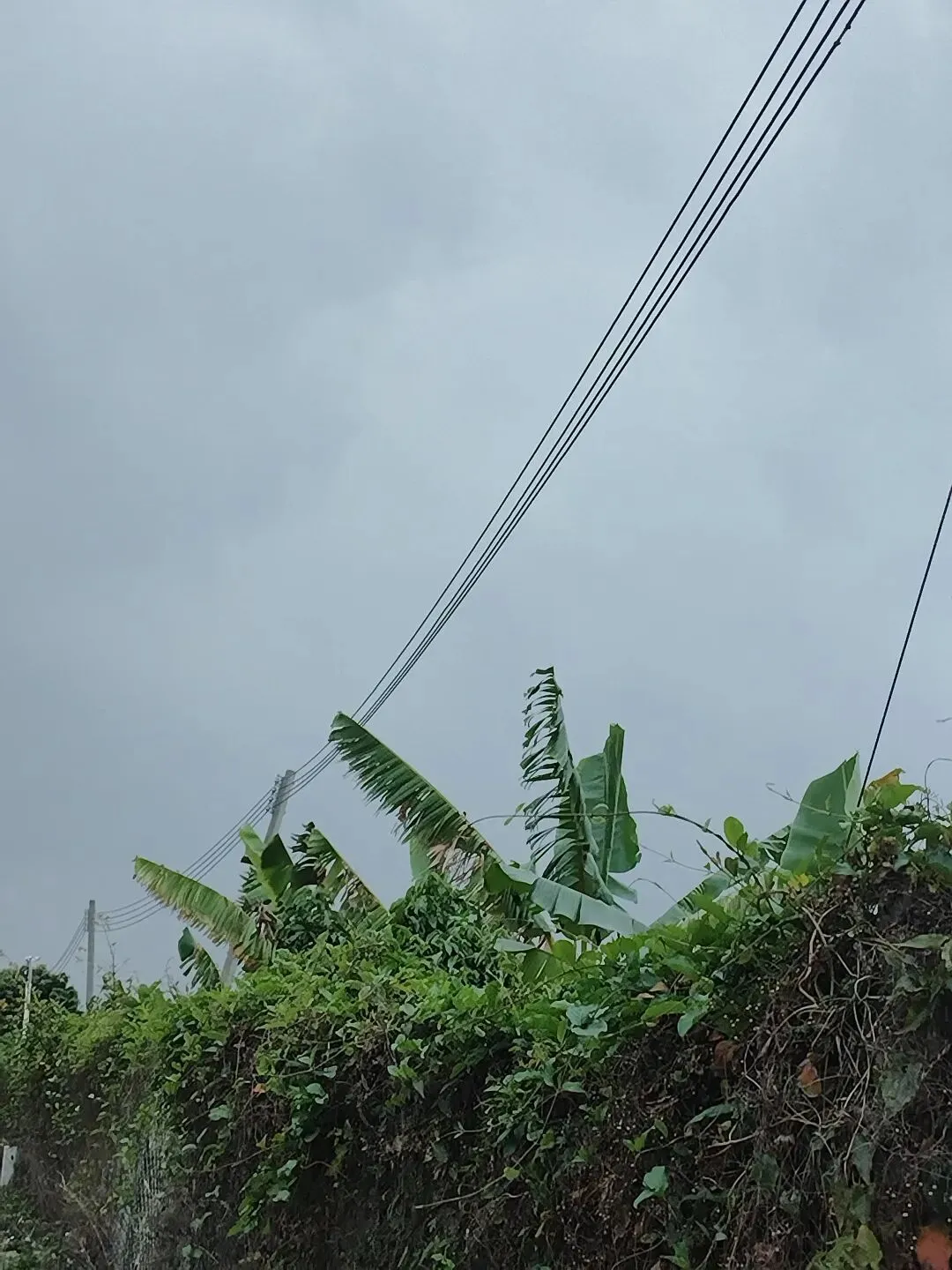 清远中考已官宣“先出分再报考”,广州:能跟上吗? 第1张