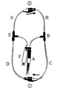 生物学中考真题:模型制作类考题 第2张
