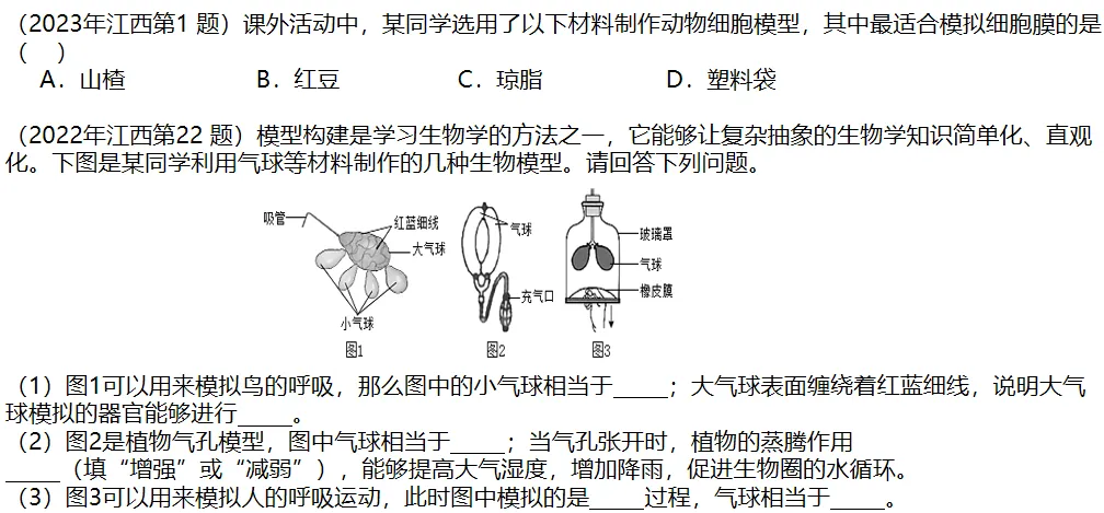 生物学中考真题:模型制作类考题 第5张