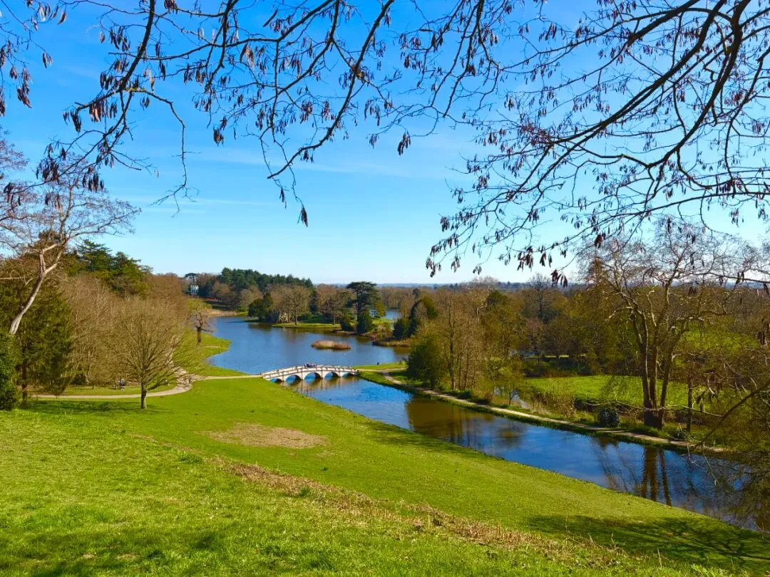 2026省考真题范文:弱鸟飞高远(第242篇) 第2张