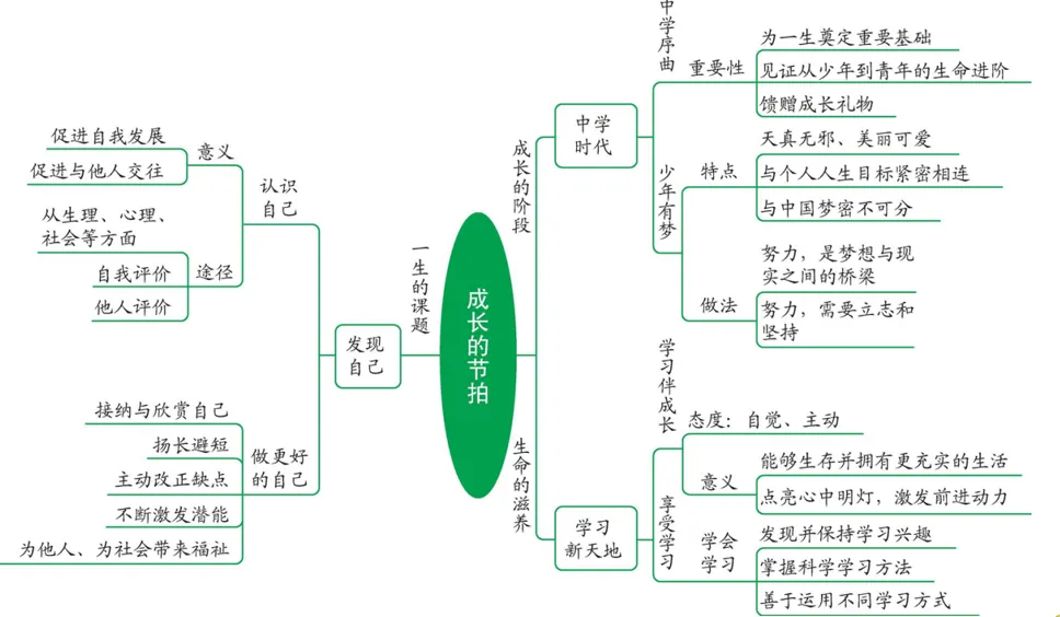 2026年中考道德与法治第一轮复习PPT课件,打印一份吃透,考试拿高分! 第5张