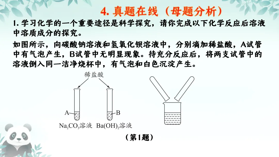 F725 二轮中考复习 备战中考2026 优质课资源包 初中化学《专题复习---科学探究---反应后溶质成分的分析》课件PPT+教学设计Word 第10张