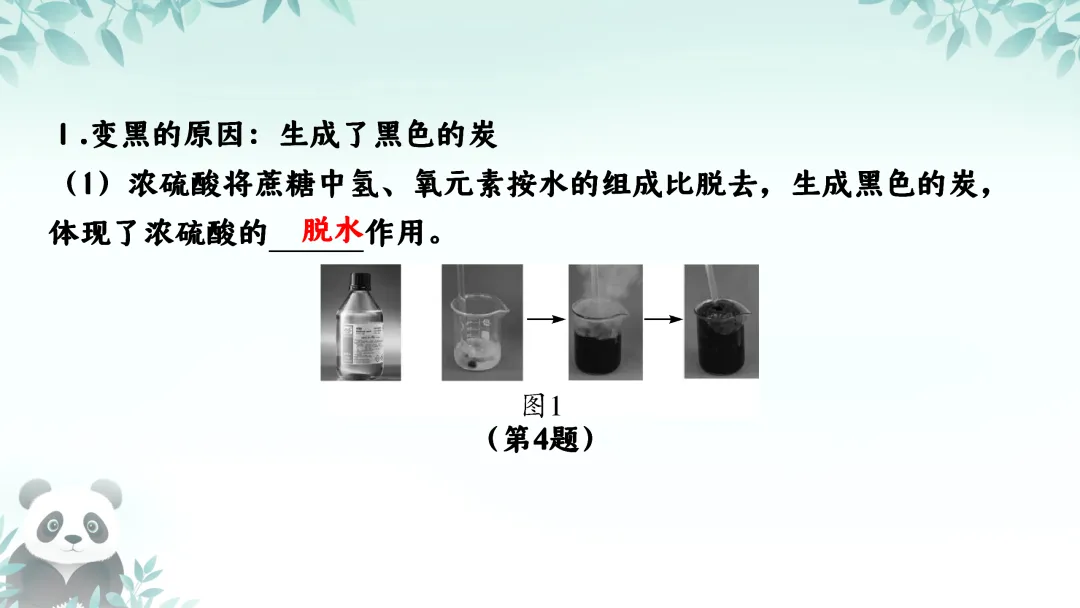 F725 二轮中考复习 备战中考2026 优质课资源包 初中化学《专题复习---科学探究---反应后溶质成分的分析》课件PPT+教学设计Word 第20张