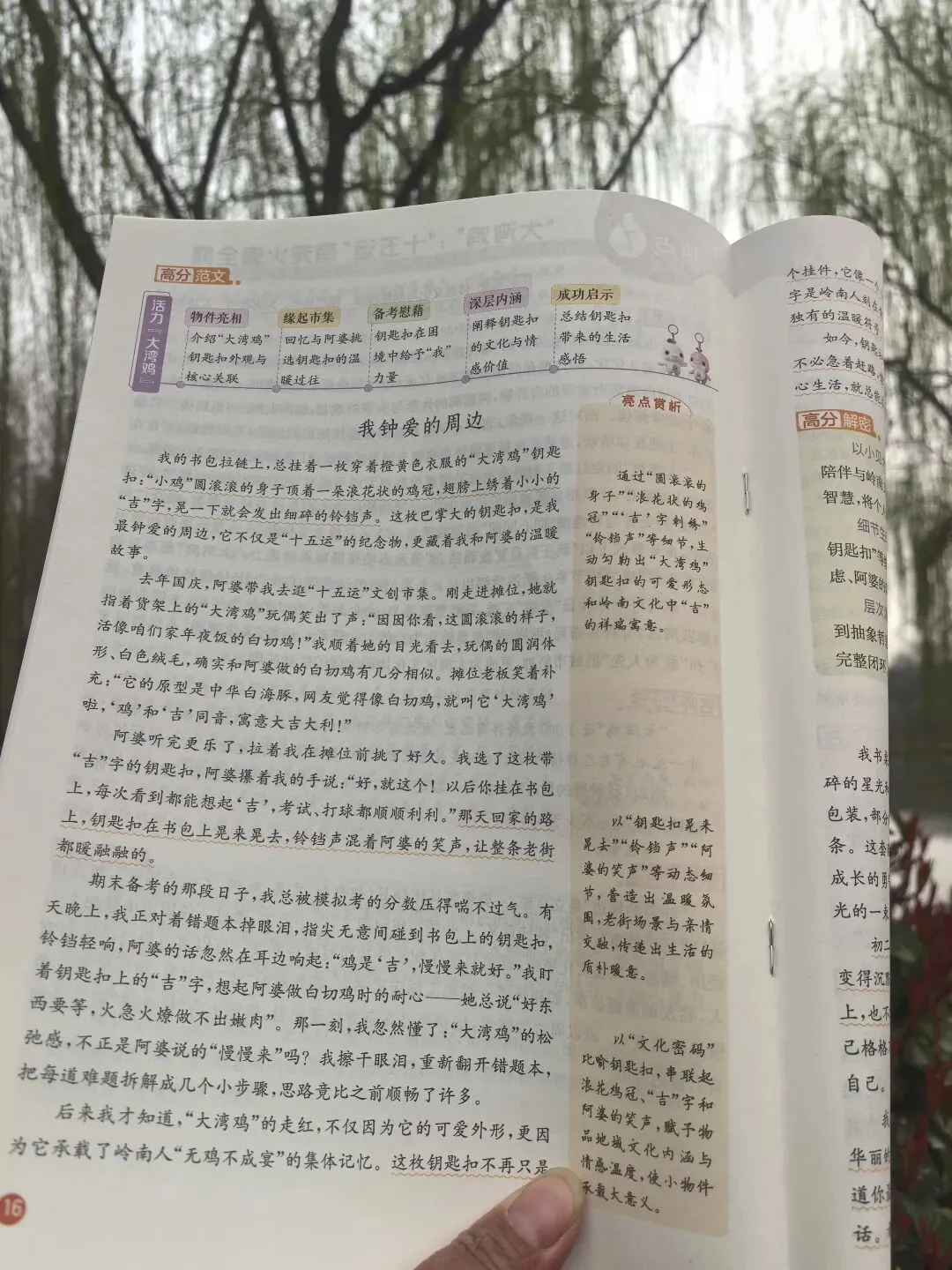 用《中考满分作文》学写作文 第5张