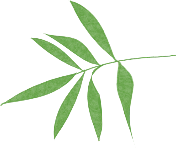 以评为桥,共研成长——象山小学青年教师试卷命题分享交流会 第26张 以评为桥,共研成长——象山小学青年教师试卷命题分享交流会 第26张