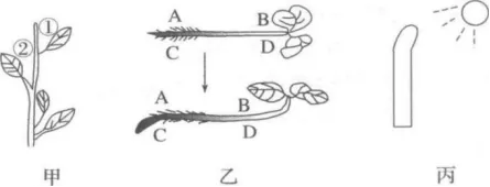 陕西省西安中学2026届高三第三次模拟考试 生物学试题 第9张 陕西省西安中学2026届高三第三次模拟考试 生物学试题 第9张