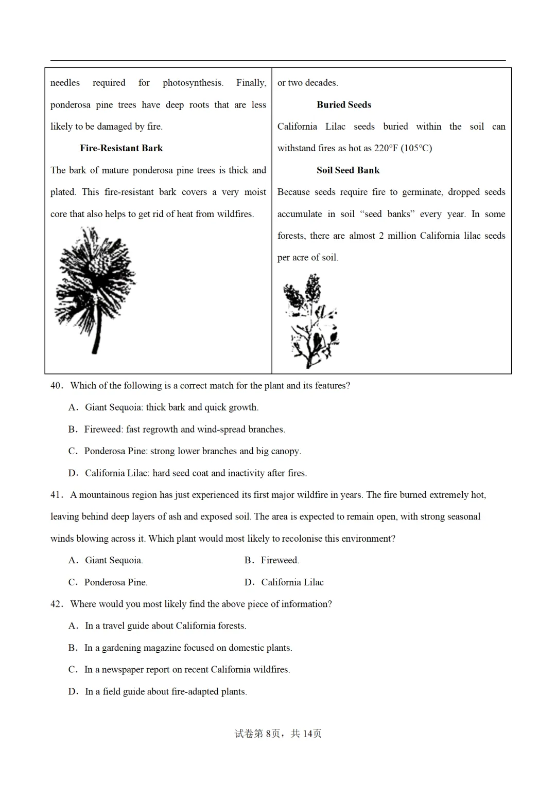 2026年高考英语第二次模拟考试卷(三套) 第9张
