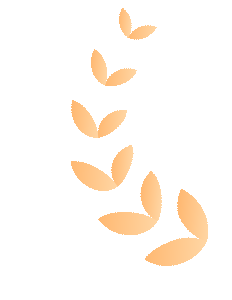 叶明粮老师中考励志演讲视频 第4张