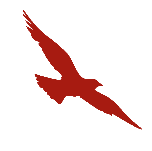 叶明粮老师中考励志演讲视频 第17张