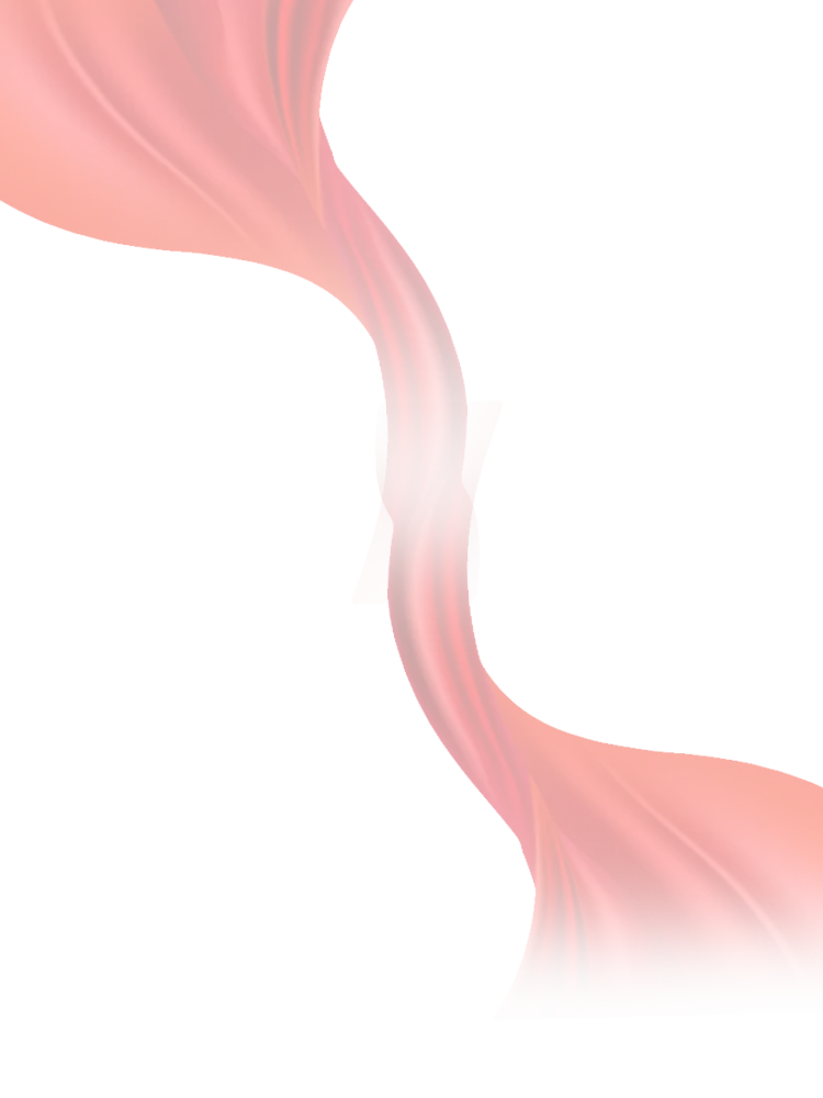 【崇德尚学 和雅金中】百日逐梦,决战中考——金沙中学2026年迎百日誓师大会 第2张