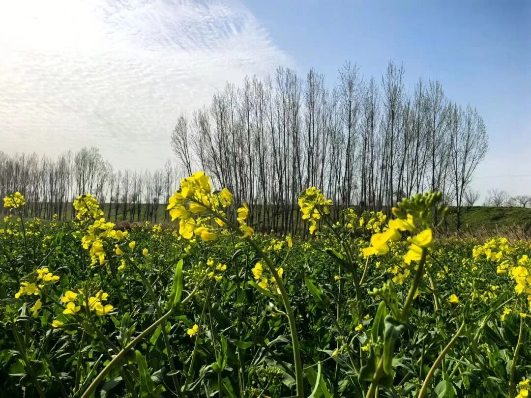 写在中考倒计时88天 第1张