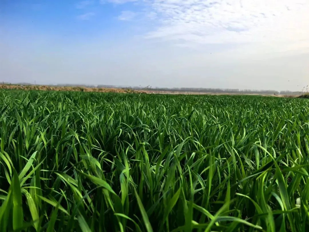 写在中考倒计时88天 第3张