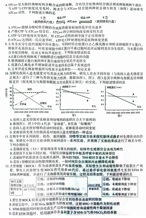 2026届南昌一模生物试卷和答案 第2张