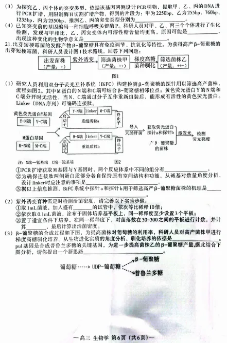 2026届南昌一模生物试卷和答案 第6张