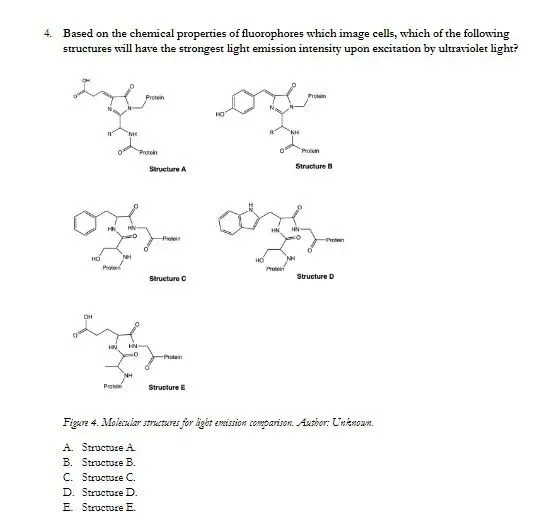 考前必刷|USABO生物竞赛历年真题及答案(2003–2025年),高清电子版可下载! 第4张 考前必刷|USABO生物竞赛历年真题及答案(2003–2025年),高清电子版可下载! 第4张