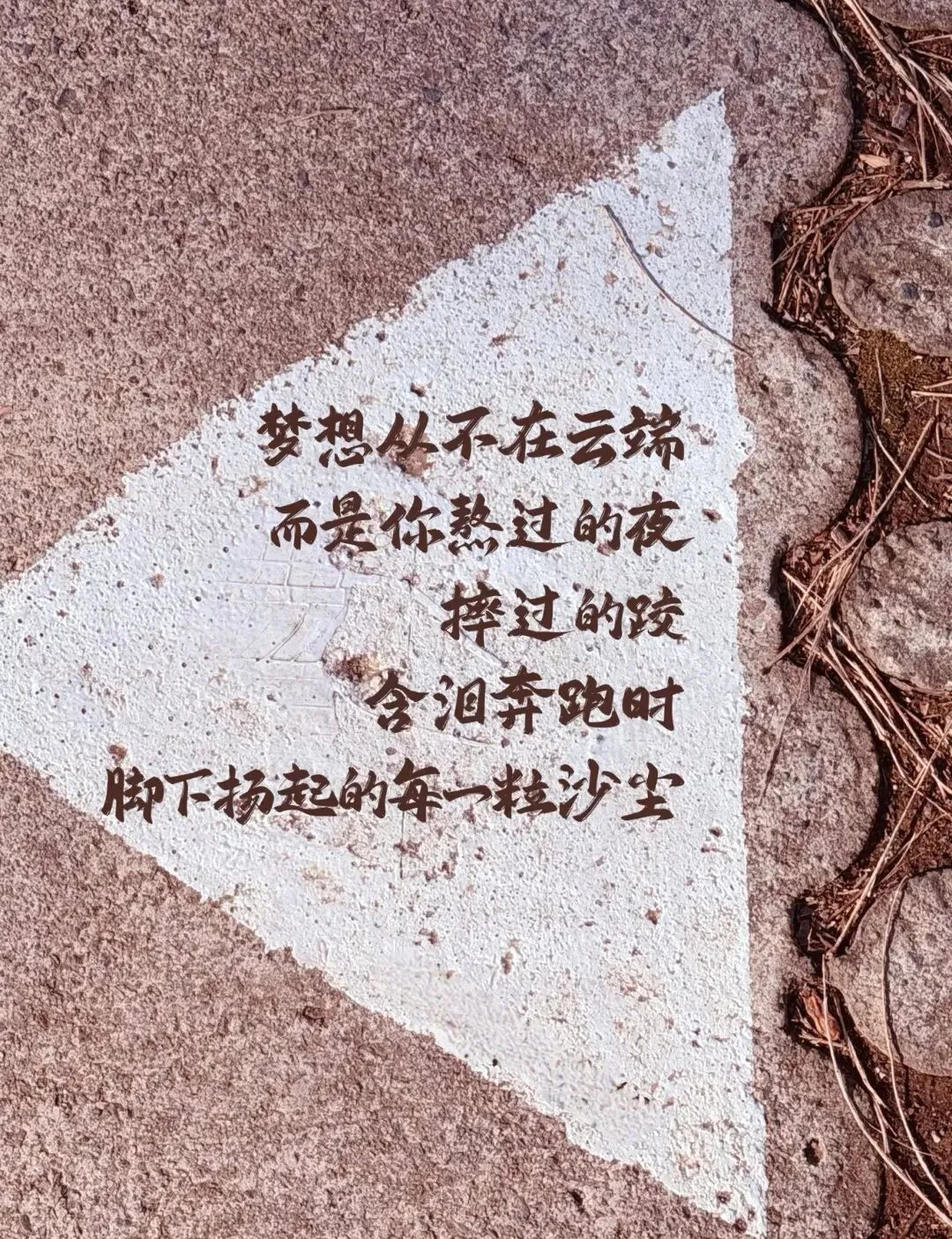 【初中】2026版中考数学《二次函数压轴题20大专题》 第6张