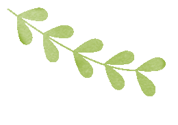 取经问道促提升 凝心聚力备中考——霍林郭勒市第一中学初中部初三教师外出培训纪实 第6张