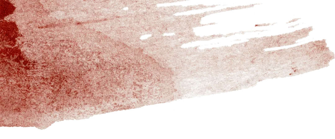 【中考加油站】奋战百日 不负韶华——清城区银湖初级中学2026届九年级百日动员大会 第2张