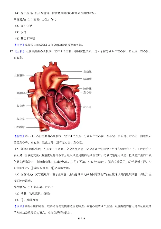 2020北京中考真题生物真题(有答案)【可下载】 第12张